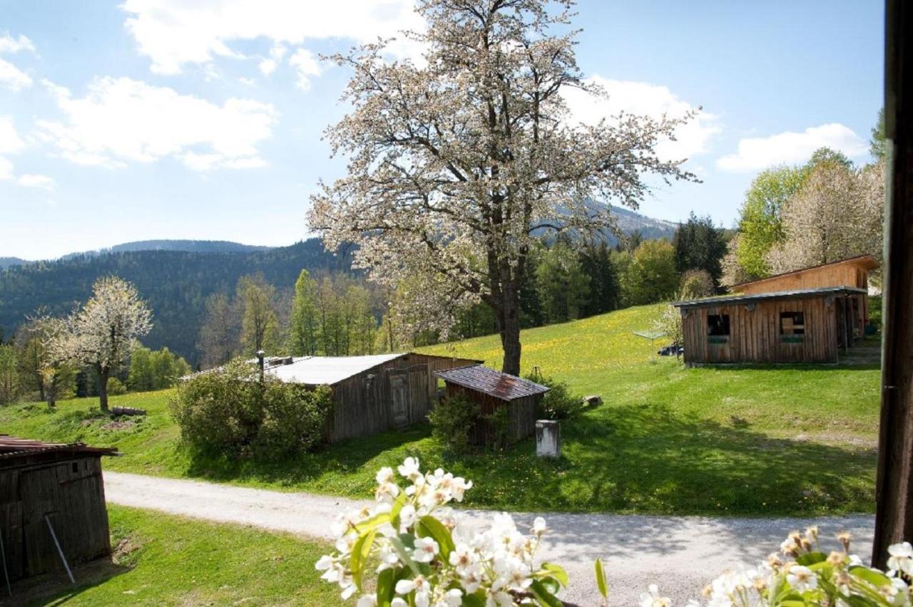 Landhof Steinhuette Casa de hóspedes Bayerisch Eisenstein Exterior foto